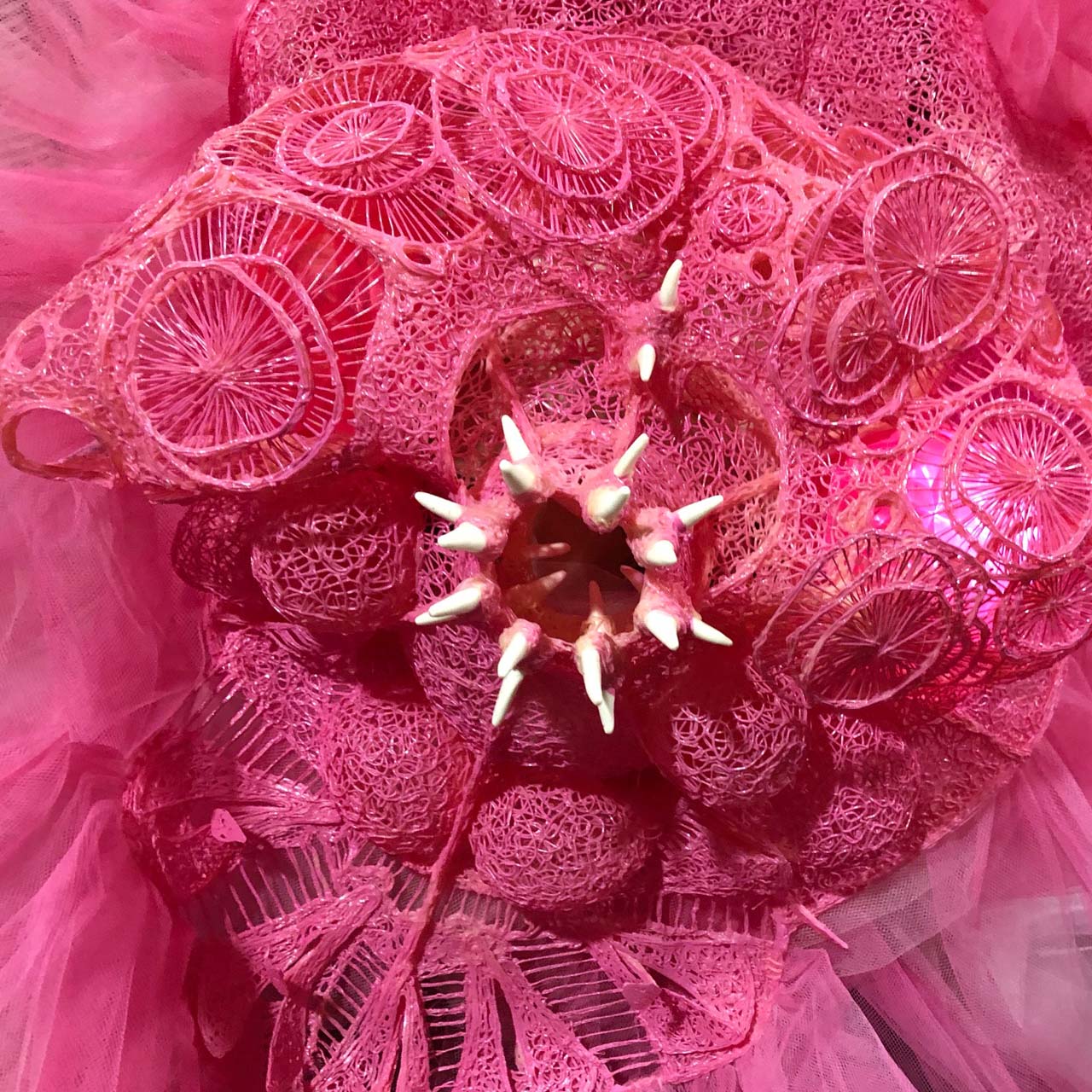 CORAL CLUSTER, World of WearableArt 2018